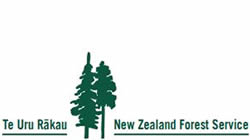 Crown Forestry Te Uru Rākau – New Zealand Forest Service