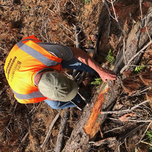 bio security inspection