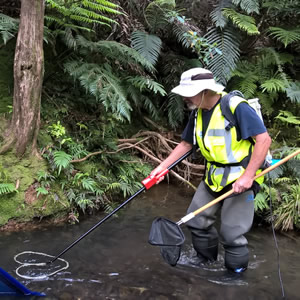 fish monitoring