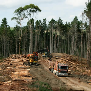 harvesting