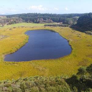 lake gem sand dune lake regeneration