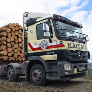 loaded log truck