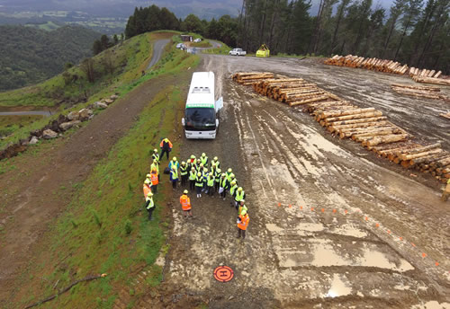 Objectives  Northland Wood Council